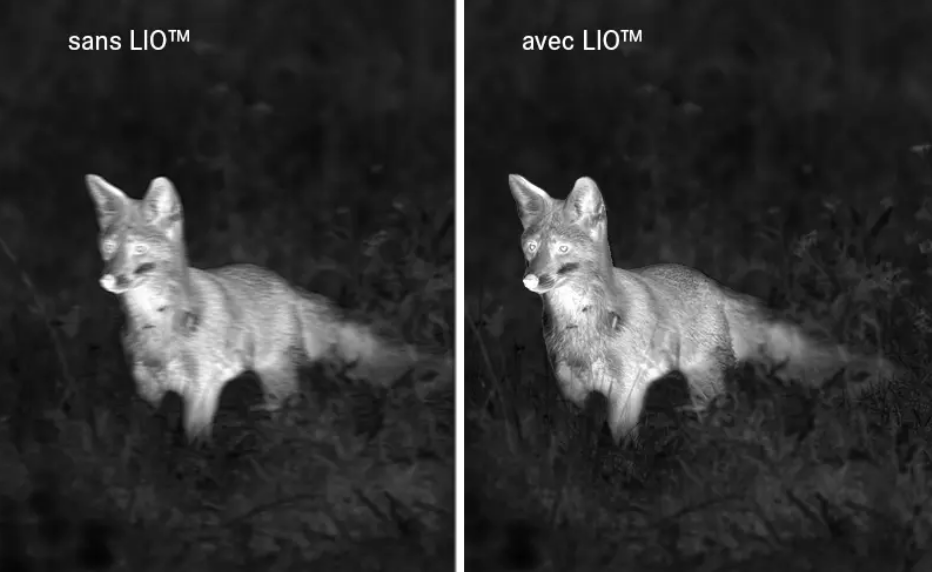 Leica Calonox 2 View