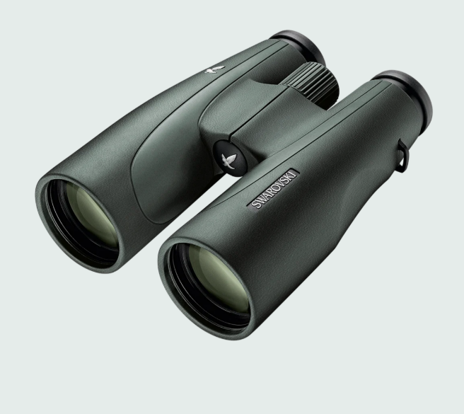 Swarovski SLC