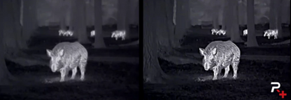 Nocpix Monocular Lumi H35